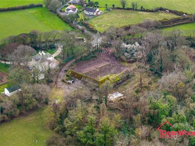 Picture 16